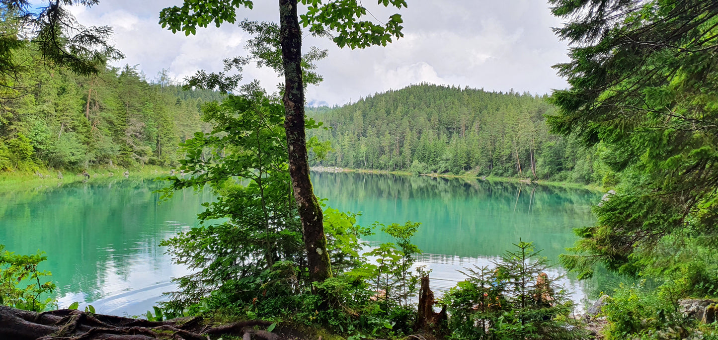 Trainingsplan ZUT Garmisch Partenkirchen Trail • 29km/1440Hm • 12 Wochen