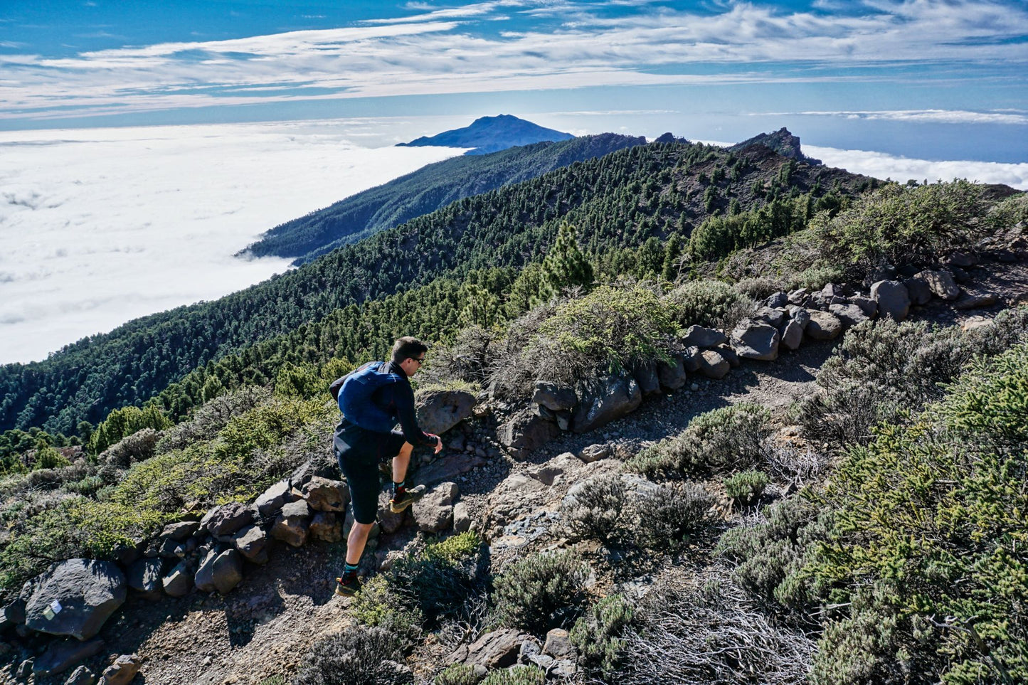 Trainingsplan TRANSVULCANIA HALFMARATHON • 25km/2100hm • 12 Wochen
