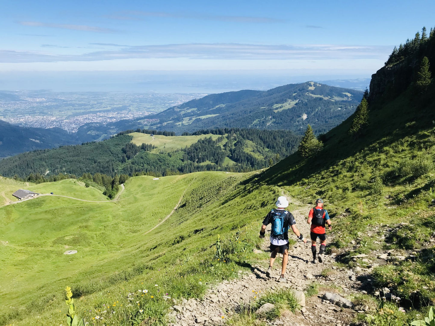 Trailrunning Workshop für Einsteiger mit Lauferfahrung • Pfänder, AT