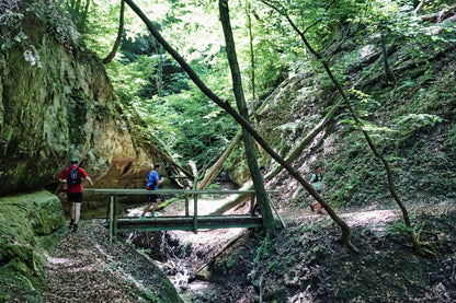 Trailrunning Trainingsplan • BASE BUILDING Grundlagenausdauer • Level 3 • 12 Wochen