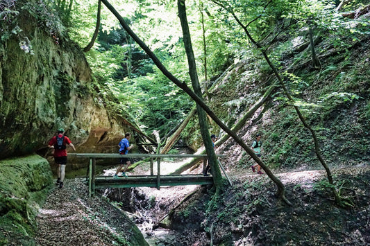Trailrunning Trainingsplan • BASE BUILDING Grundlagenausdauer • Level 3 • 12 Wochen