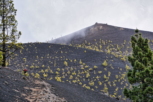 Trainingsplan • TENERIFFA HOLIDAY TRAILS Trailrunning Camp • Level 3 • 10 Wochen