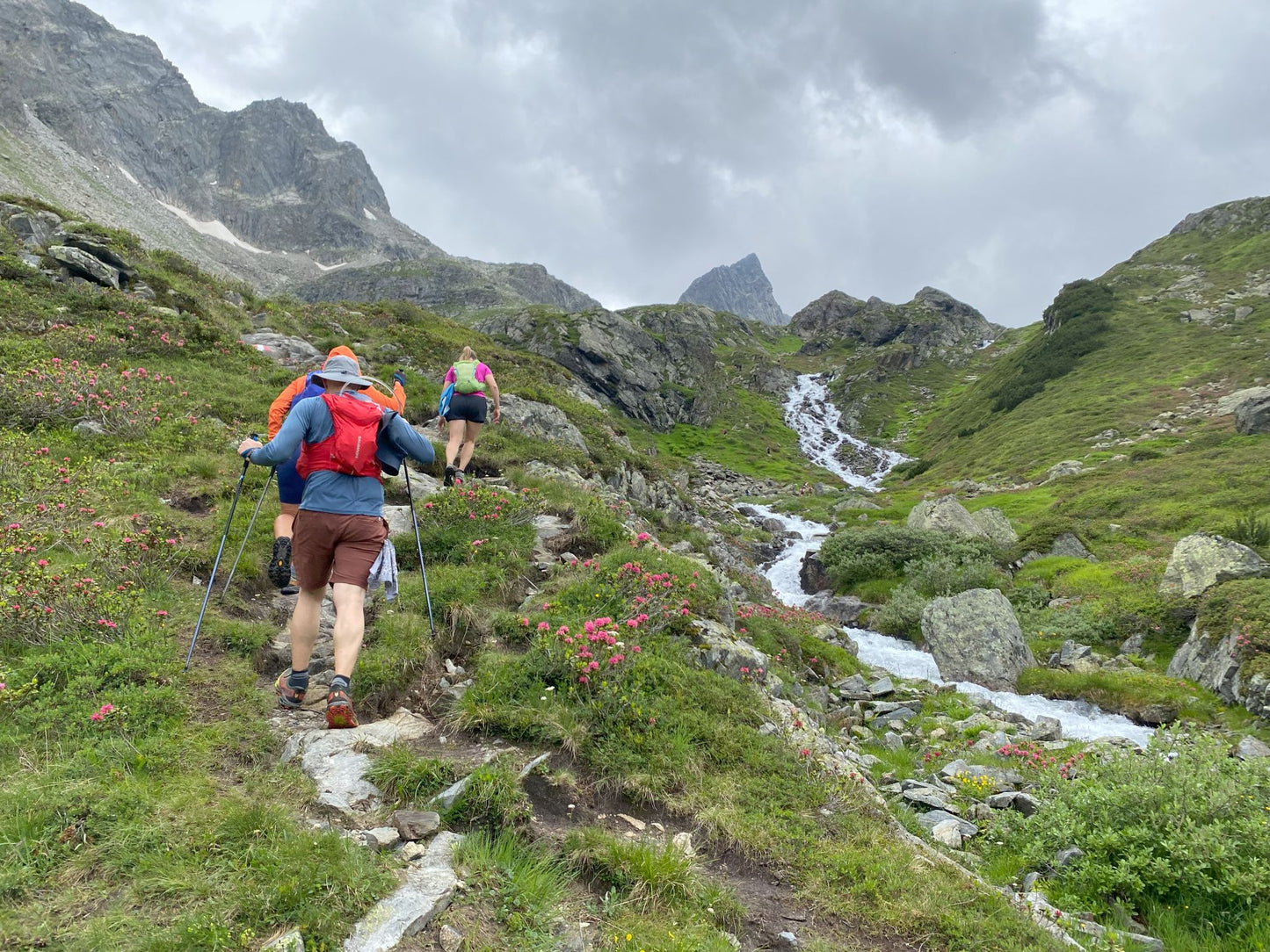 Trainingsplan IATF • K42 • 42km/2500Hm • 12 Wochen