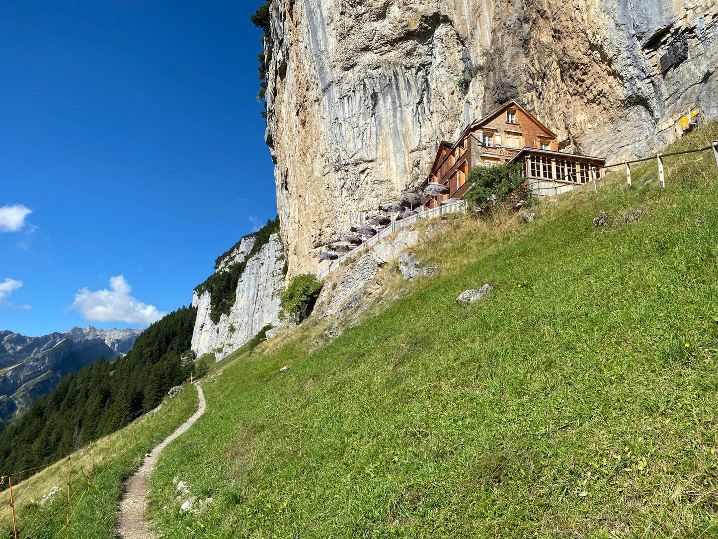 Trailrunning Workshop für Fortgeschrittene • 18.05.2025 [Säntis, CH]
